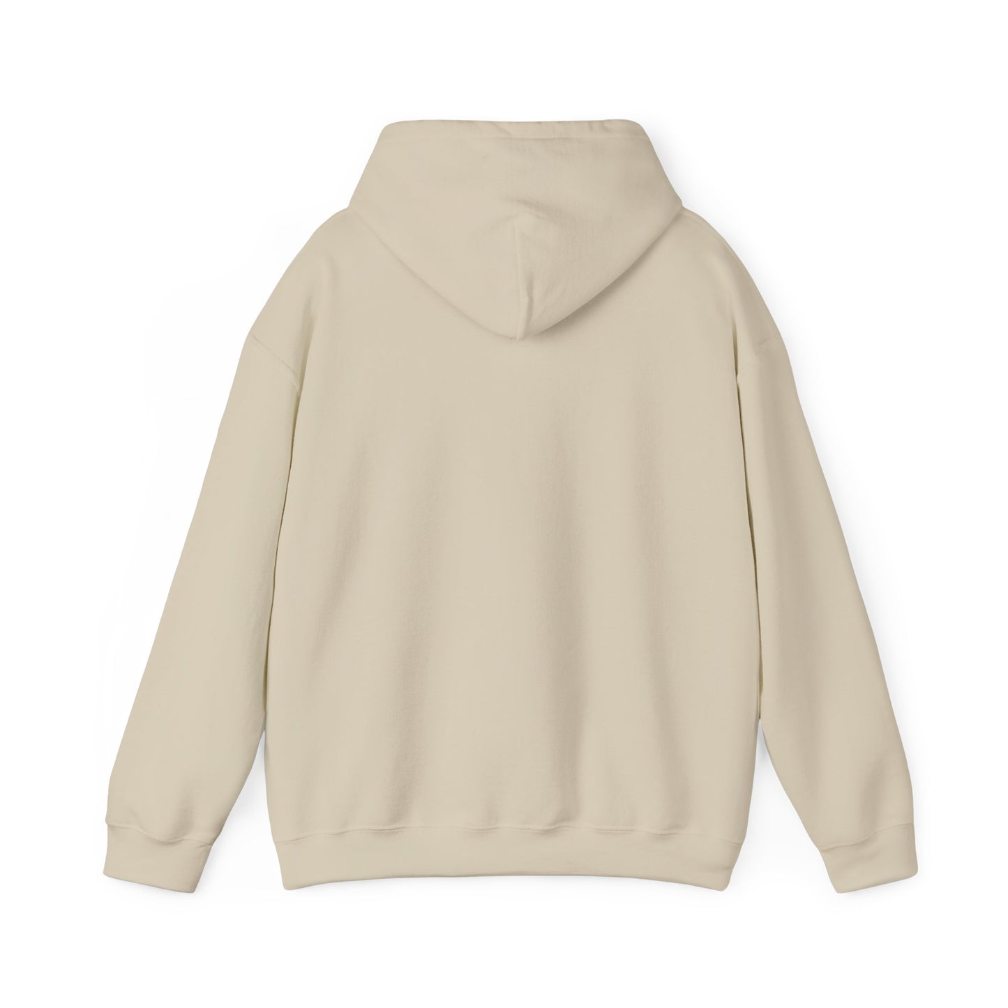 ✦ Vision Hoodie
